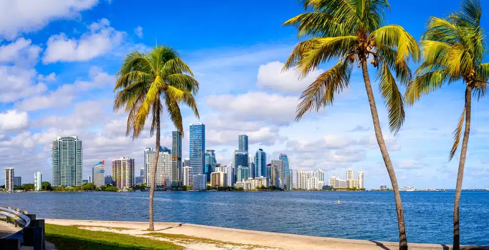 Panoramic view of Miami skyline with tall buildings, blue skies, and palm trees by the waterfront, highlighting the city's appeal.