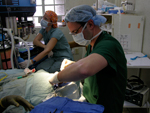 Dr. Andres Bustillo Charity
